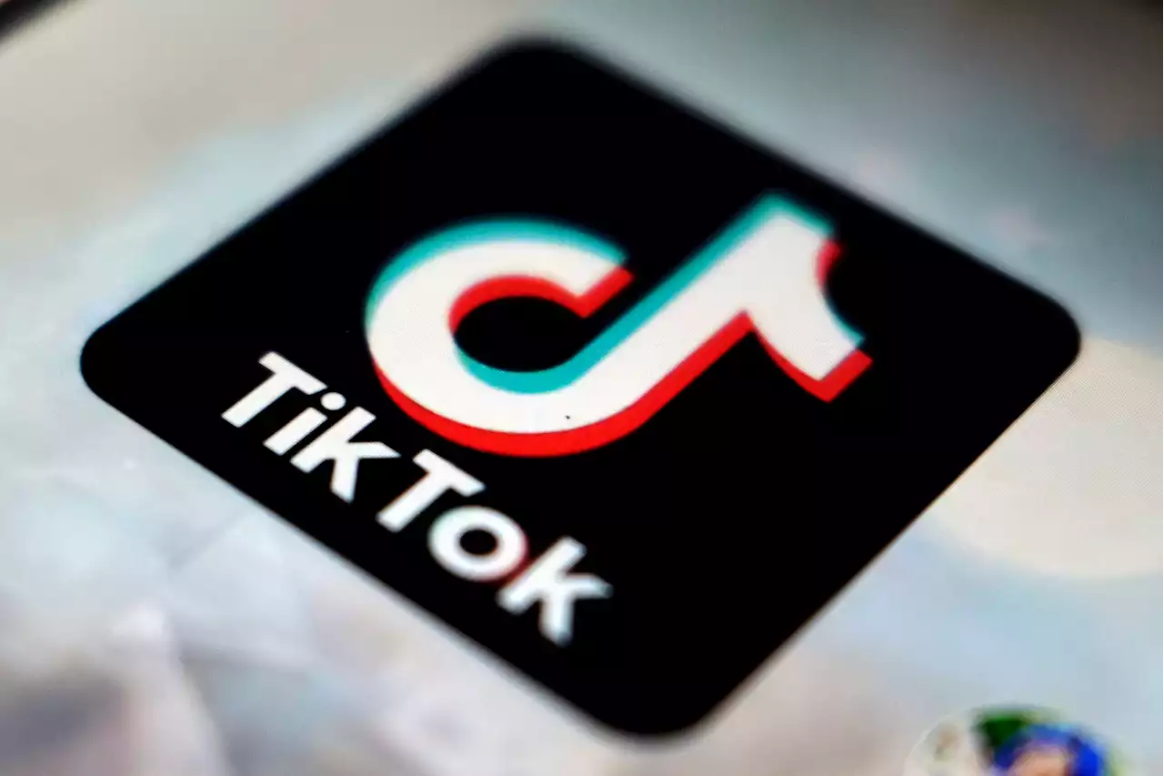 TikTok Search Results Riddled with Misinformation: Report