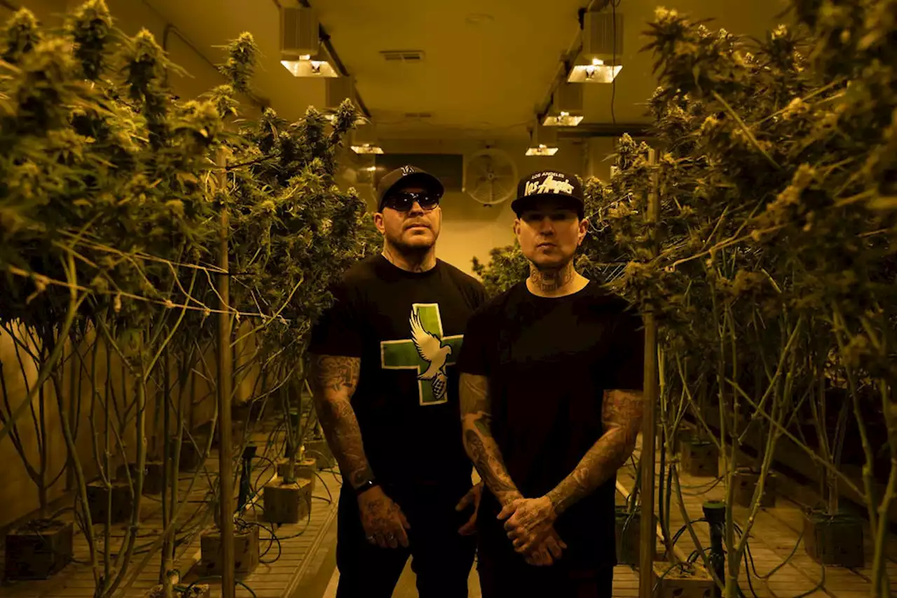 Odd Jobs: Hollywood Undead's Always Been Cannabis Entrepreneurs — But Now They Do It Legally