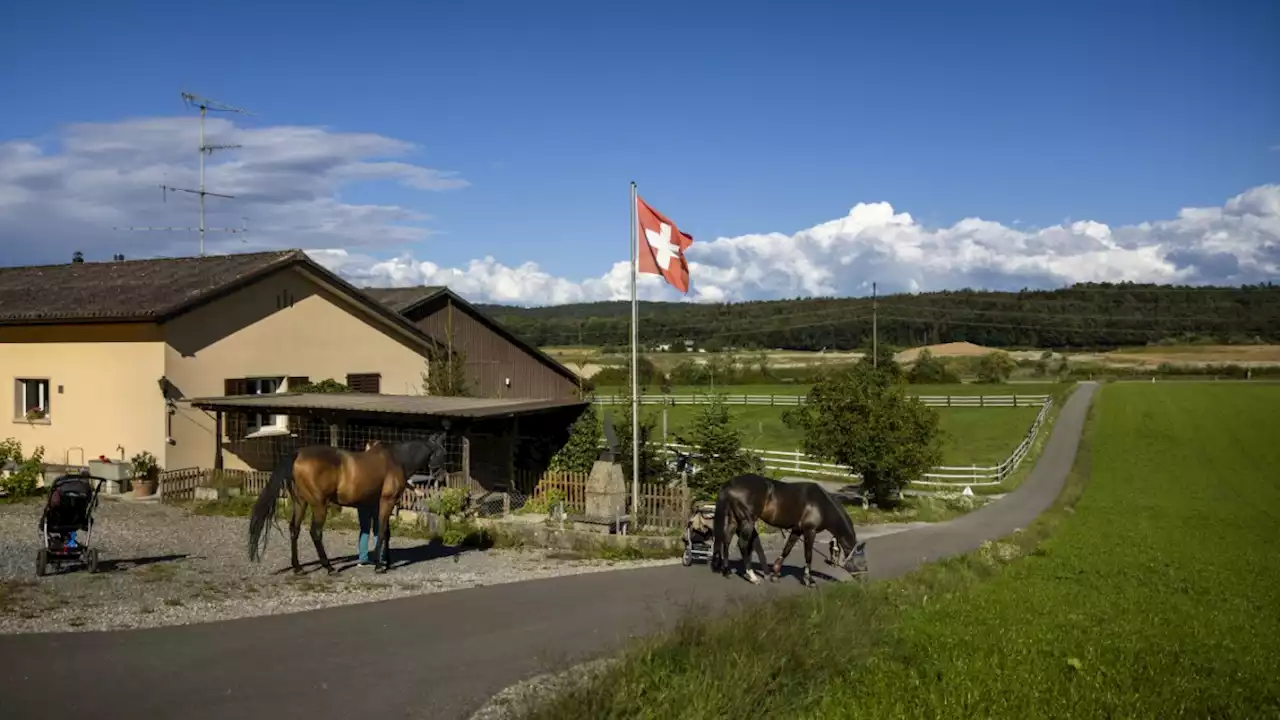 Endlagersuche: Lernen von der Schweiz