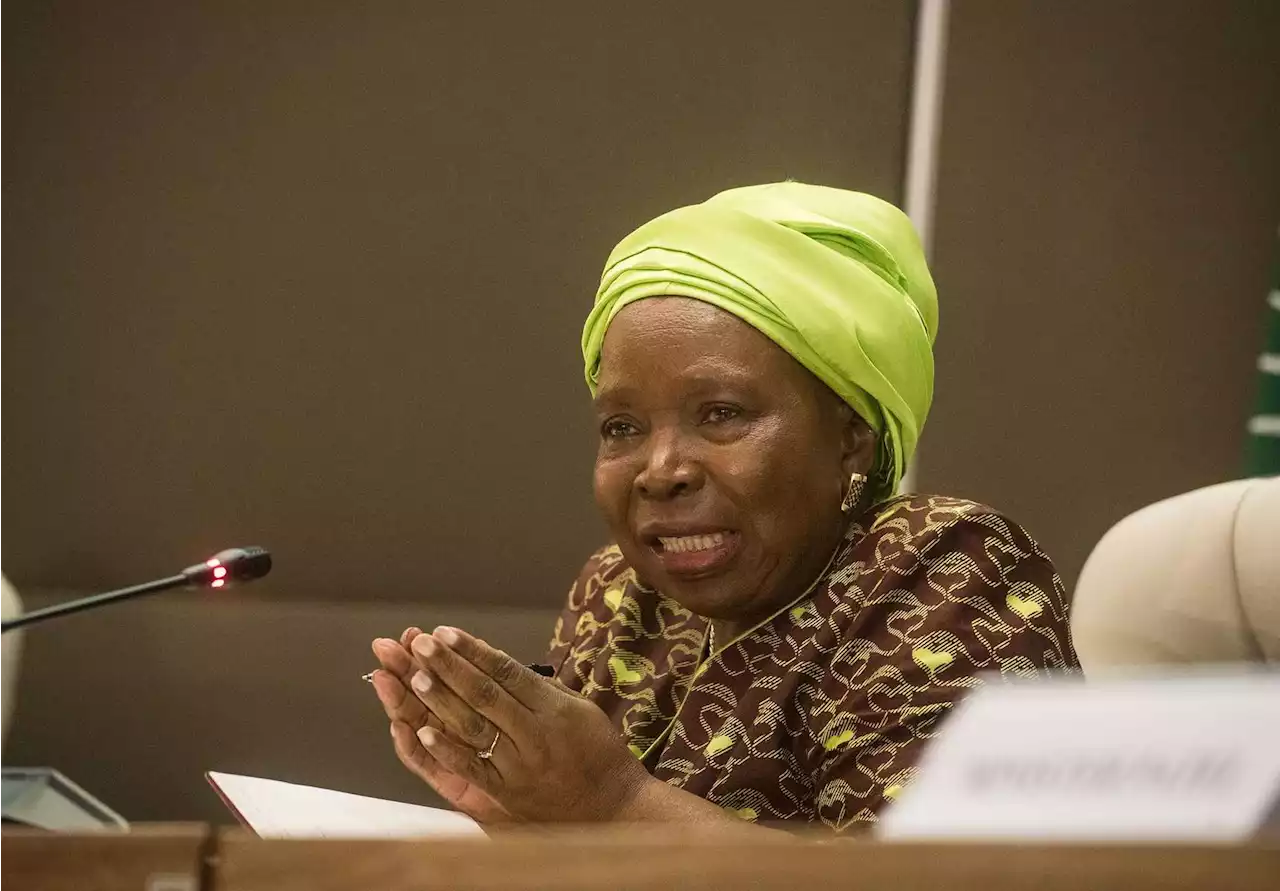 ANC RET group rejects Dlamini-Zuma | Witness