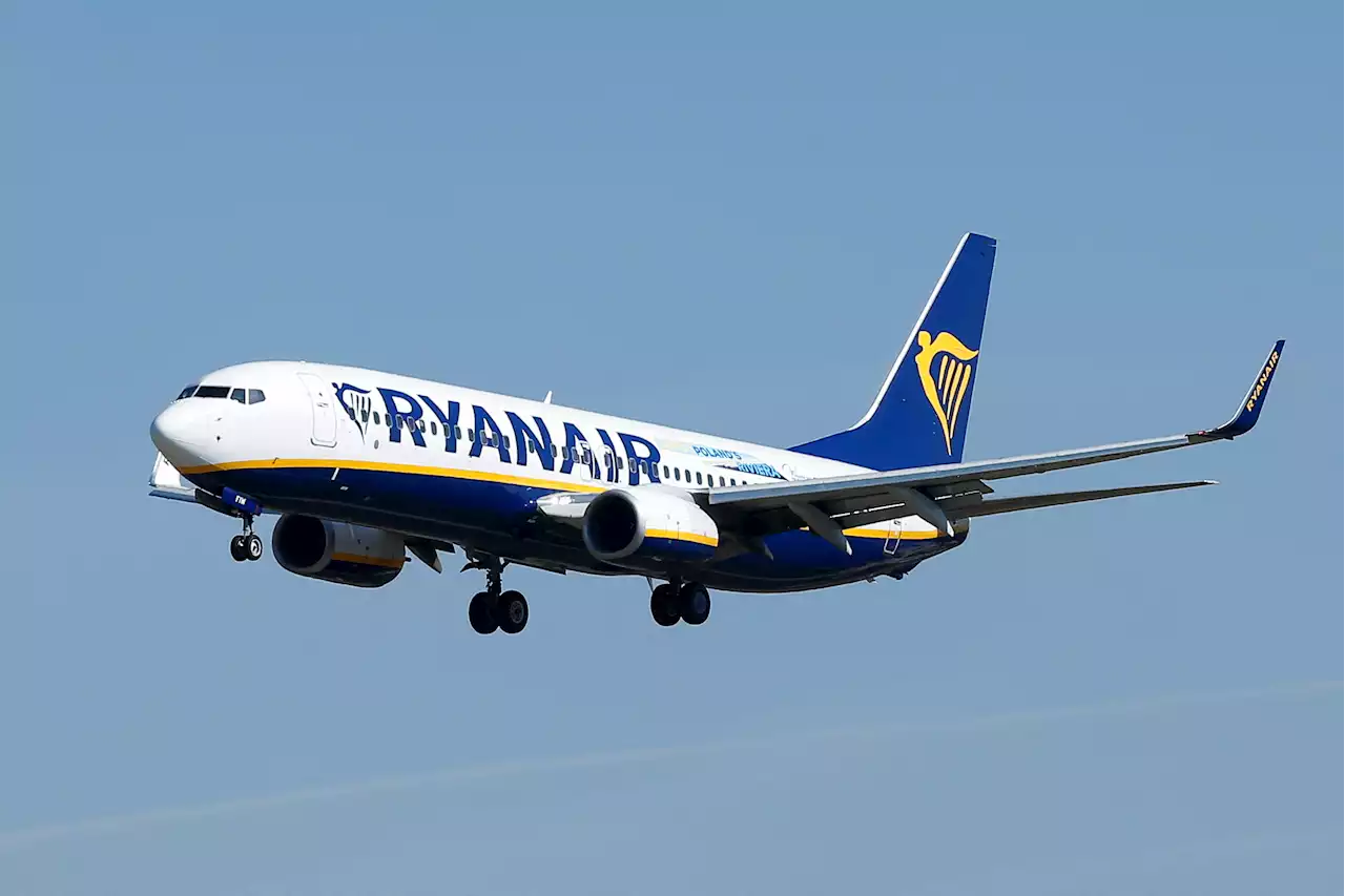 Man reveals how to get empty row on Ryanair flights - without paying extra