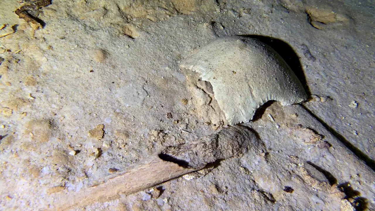 8,000-year-old prehistoric human skeleton found in underwater Mexican cave