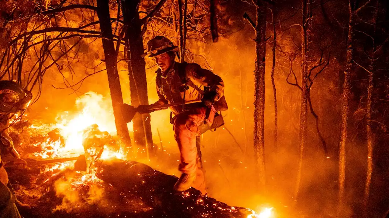 Mosquito Fire becomes California's largest blaze this year, scorching over 63K acres