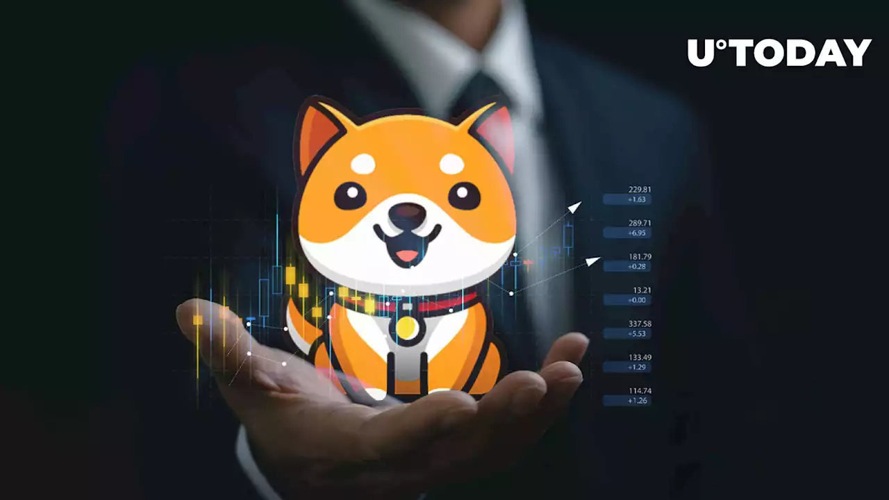 BabyDoge Holder Number Again Surpasses SHIB's After Reaching New All-Time High