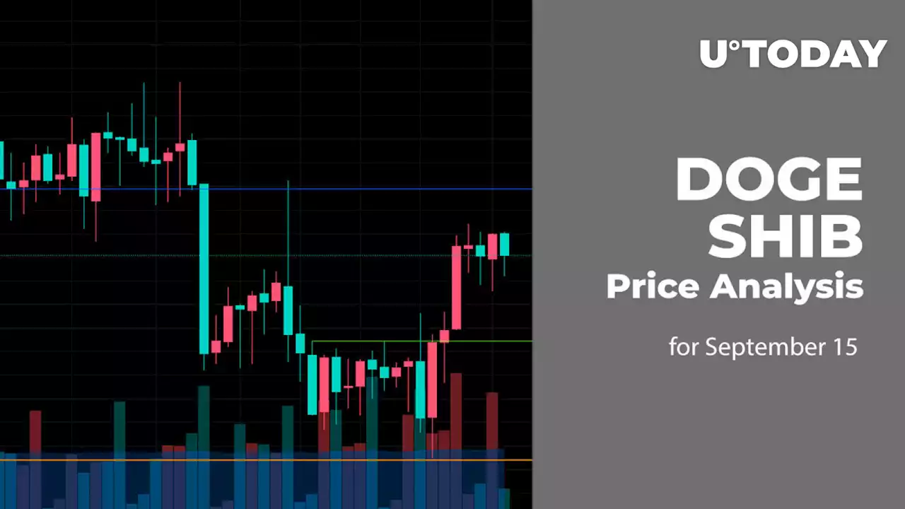 DOGE and SHIB Price Analysis for September 15