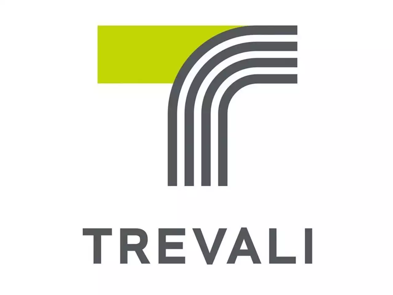 Trevali manager, contractor convicted after mine flood that killed eight workers