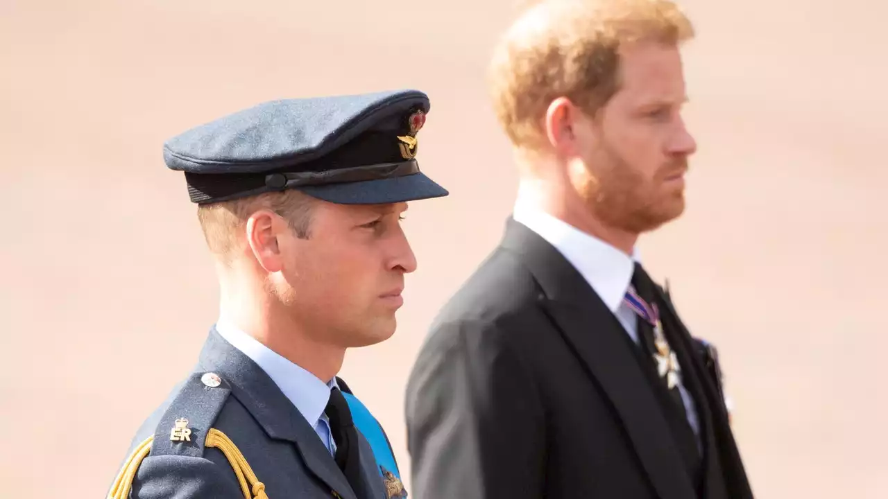 Harry e William, in processione per la regina Elisabetta (come ai funerali di mamma Diana)