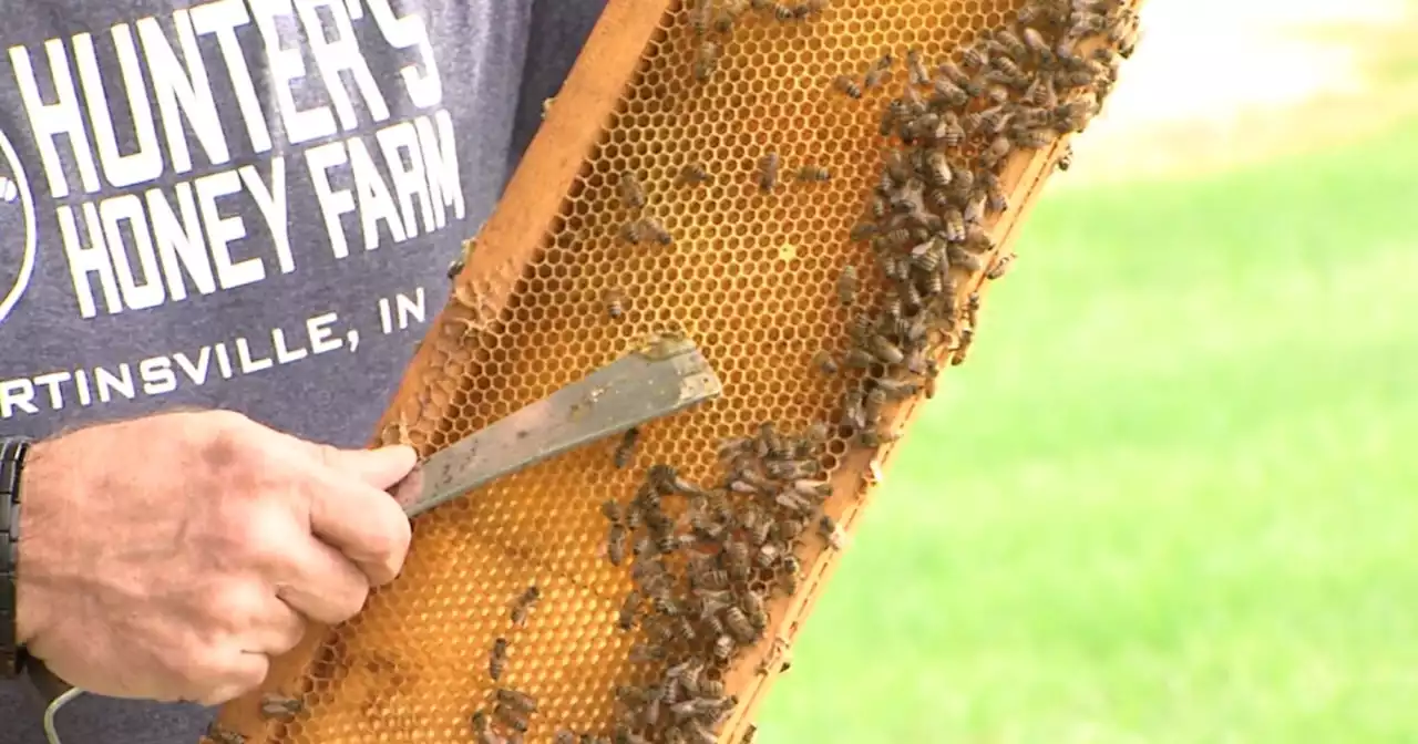 Inside Indy | Hunter's Honey Farm