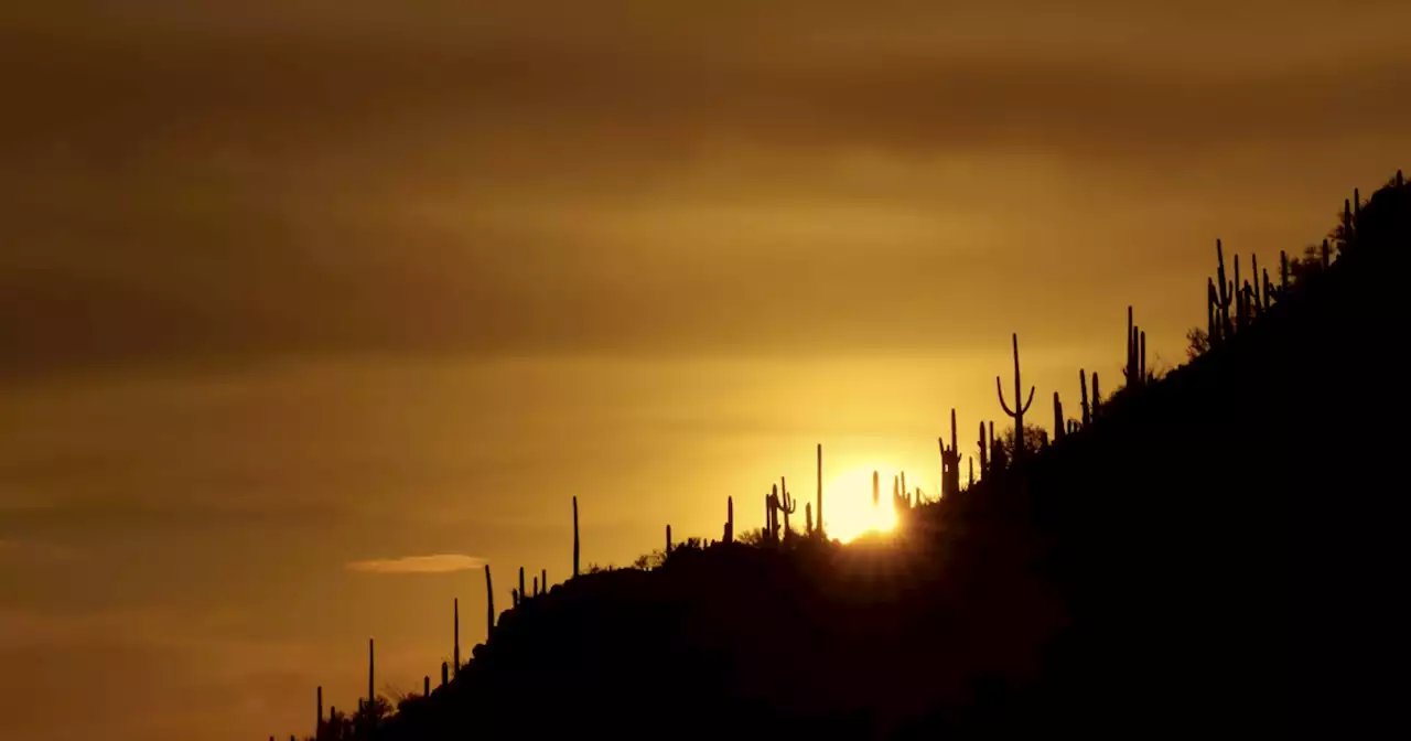 Mummified body found in bathtub of burglarized Arizona home