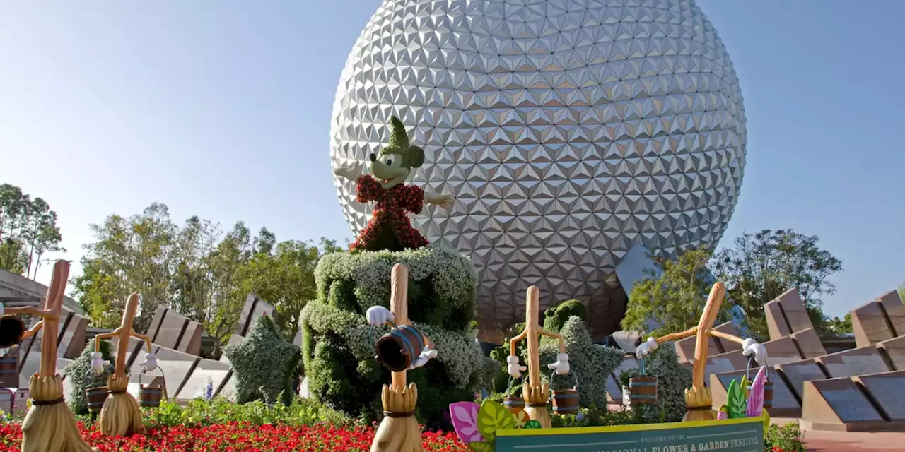 Disney World fans say prices are too high for families, survey finds