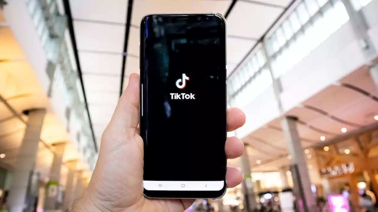 Weiblich, jung und ambitioniert - so ticken Tiktok-User | Special | Dmexco 2022 | W&V