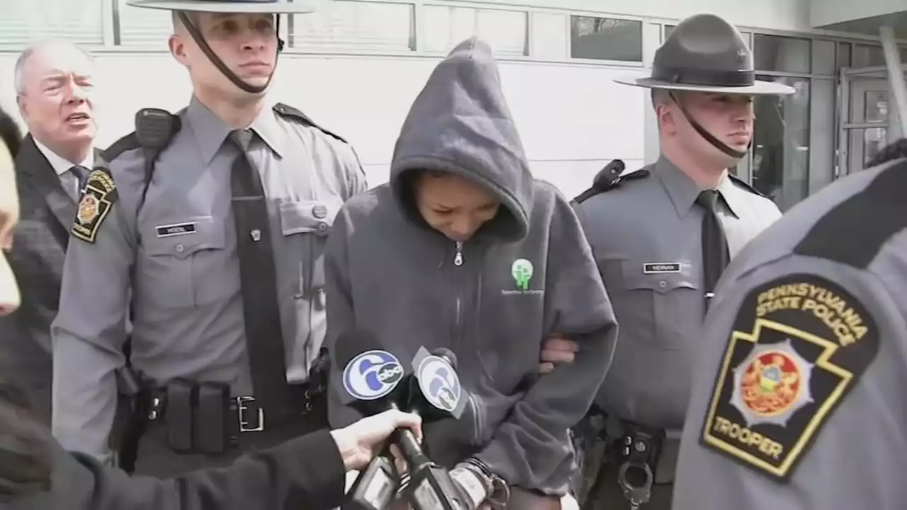 Woman charged in I-95 crash that killed Pa. troopers, pedestrian out on bail