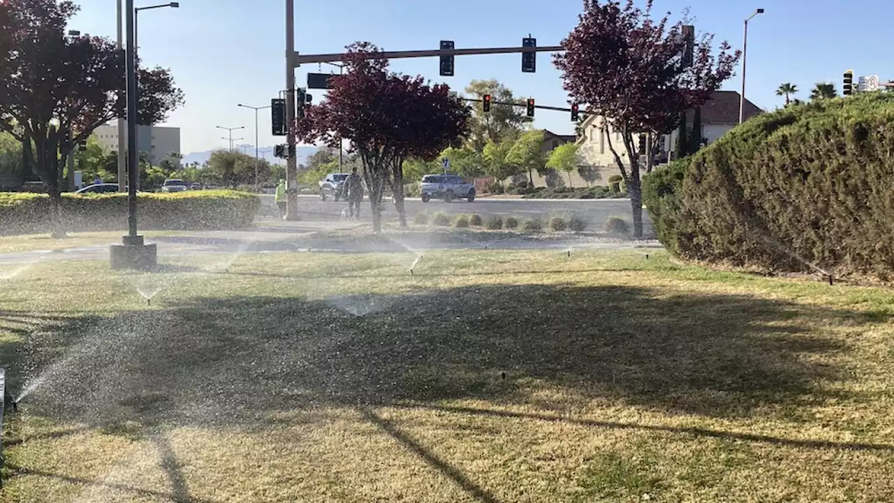 Mesa water customers encouraged to skip fall overseeding because of water supply concerns