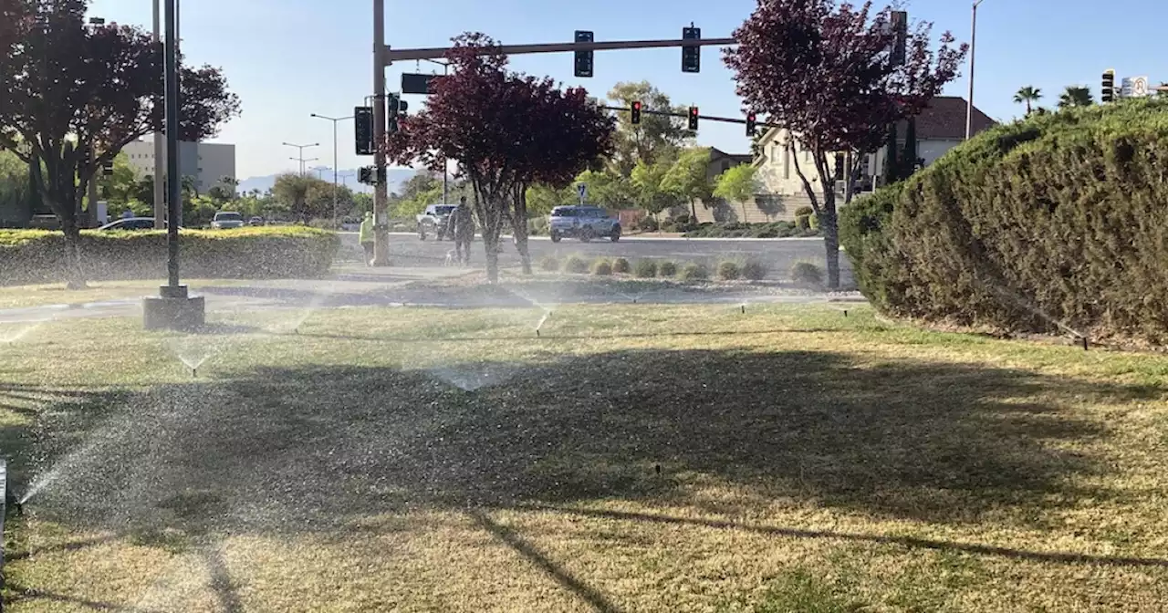 Mesa water customers encouraged to skip fall overseeding because of water supply concerns