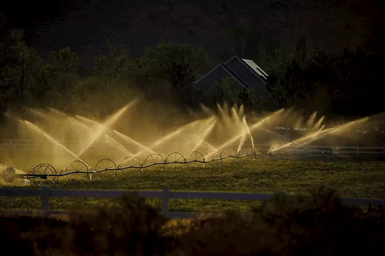 Desert farms in Utah flourish with water from Colorado River