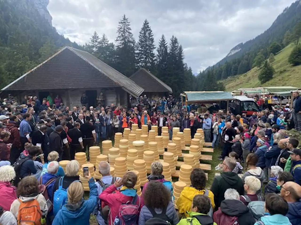 Chästeilet Justistal: Es war wieder einmal ein Highlight - bauernzeitung.ch