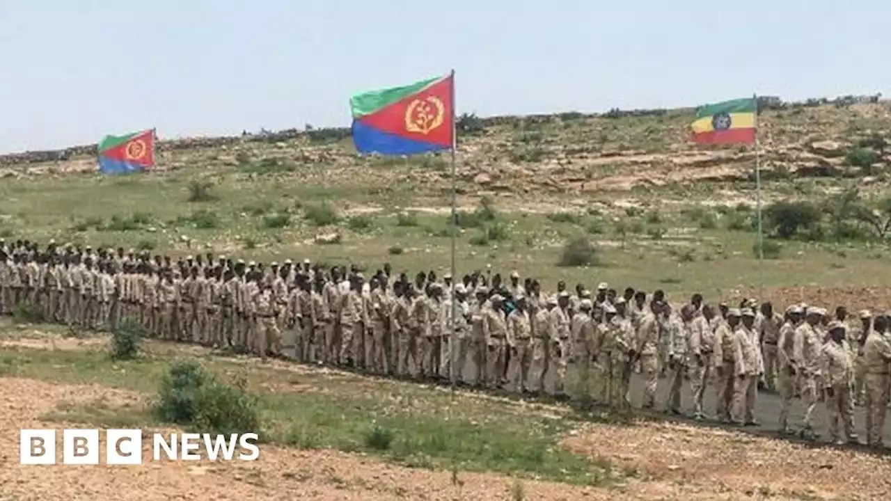 Eritrea's mass mobilisation amid Ethiopia civil war