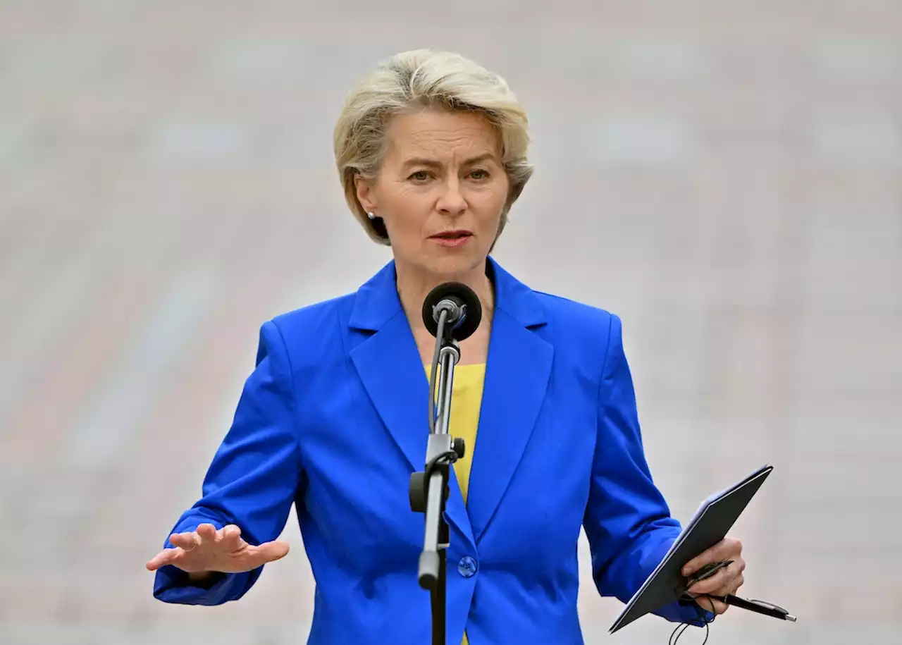 Von der Leyen fordert Kampfpanzer für Ukraine