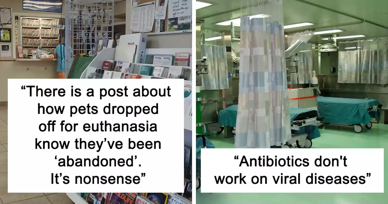 30 Of The Most Entertaining ‘It Doesn’t Work Like That’ Stories, Told By Professionals In This Online Community