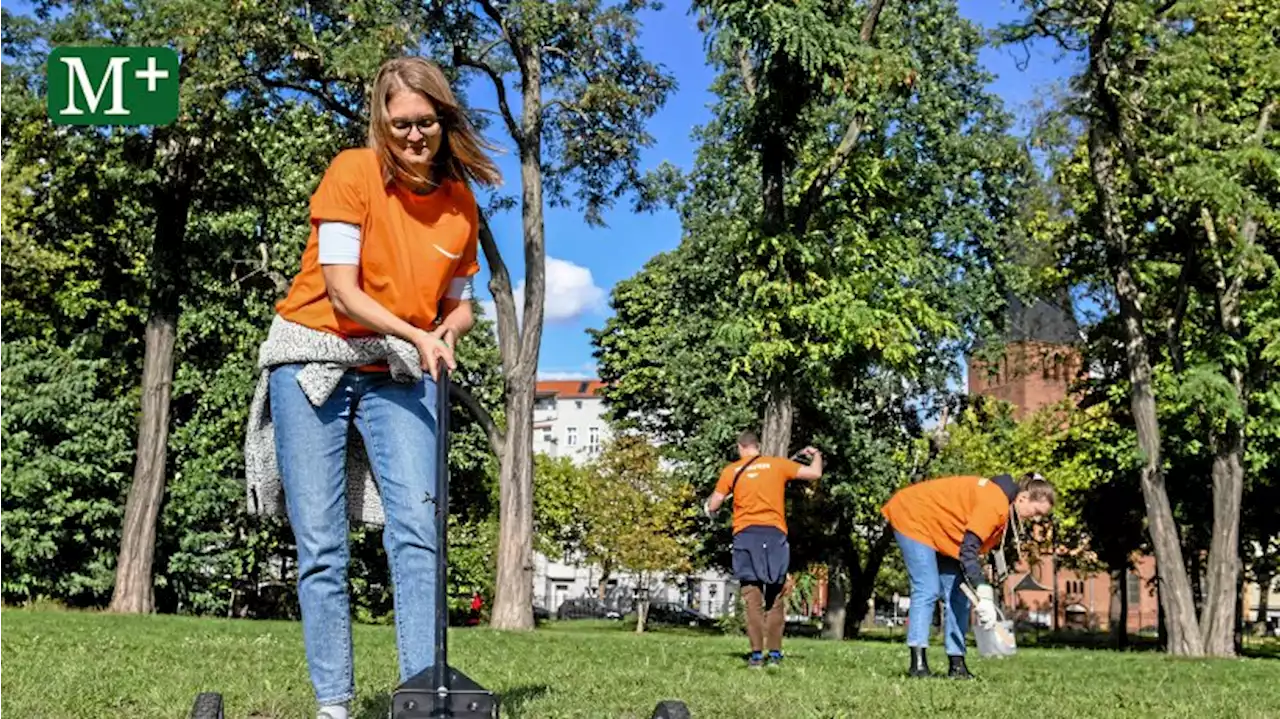 World Cleanup Day: Berlin wird aufgeräumt