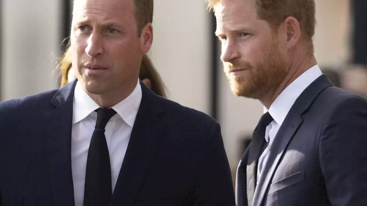 Harry et William réconciliés ? Ce dîner entre les deux frères en plein deuil de la Reine