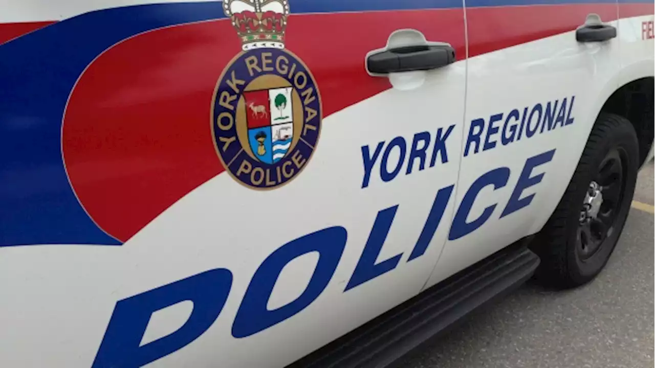 46 charges laid in 21 store thefts across York Region