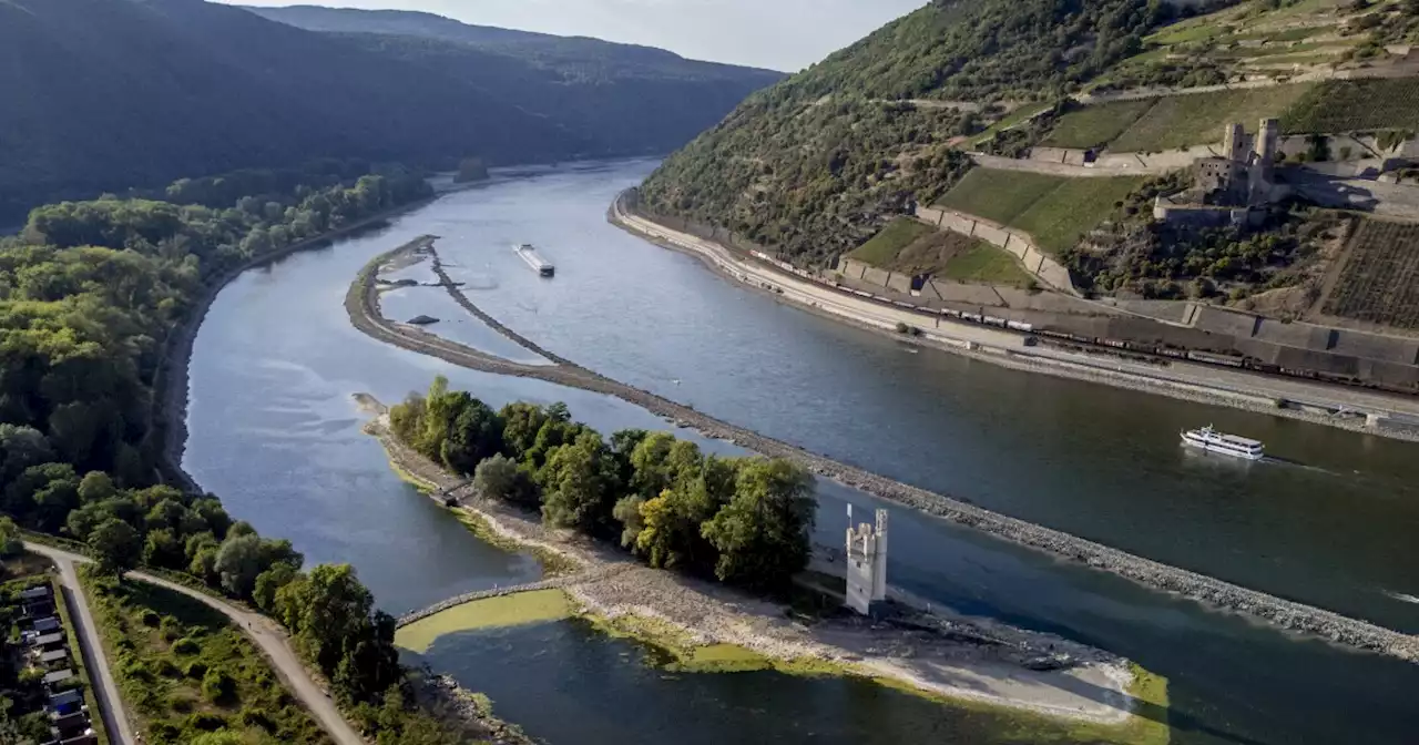 North America and Europe experienced hottest August on record, NOAA says