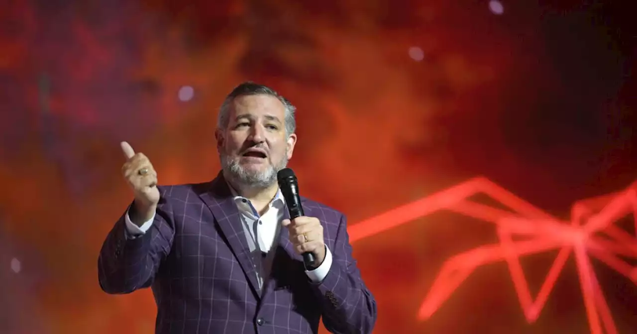 WATCH: Ted Cruz confronted on plane by Beto supporter over gun control