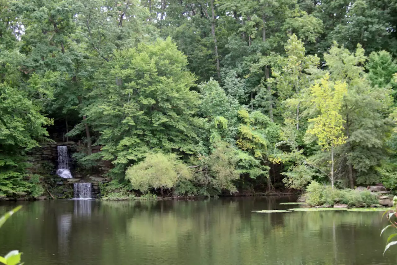 Private Botanical Preserve Becomes Northern Virginia's Newest Park