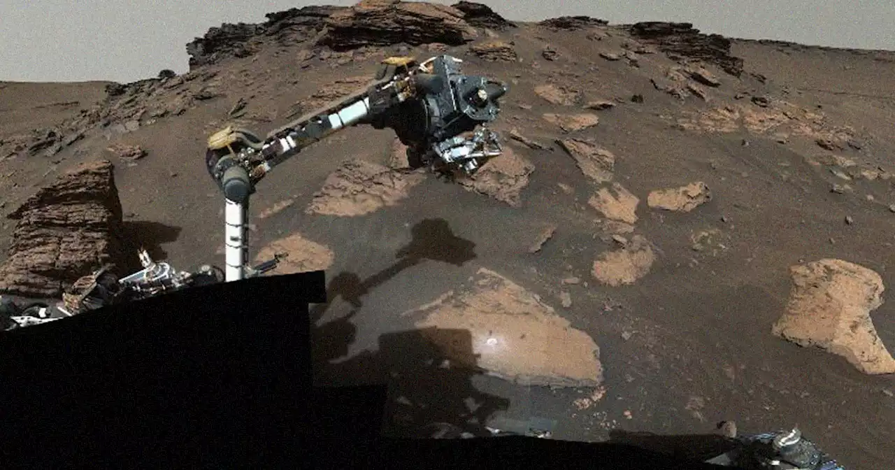 NASA Seems Awfully Excited About Finding Organic Matter on Mars