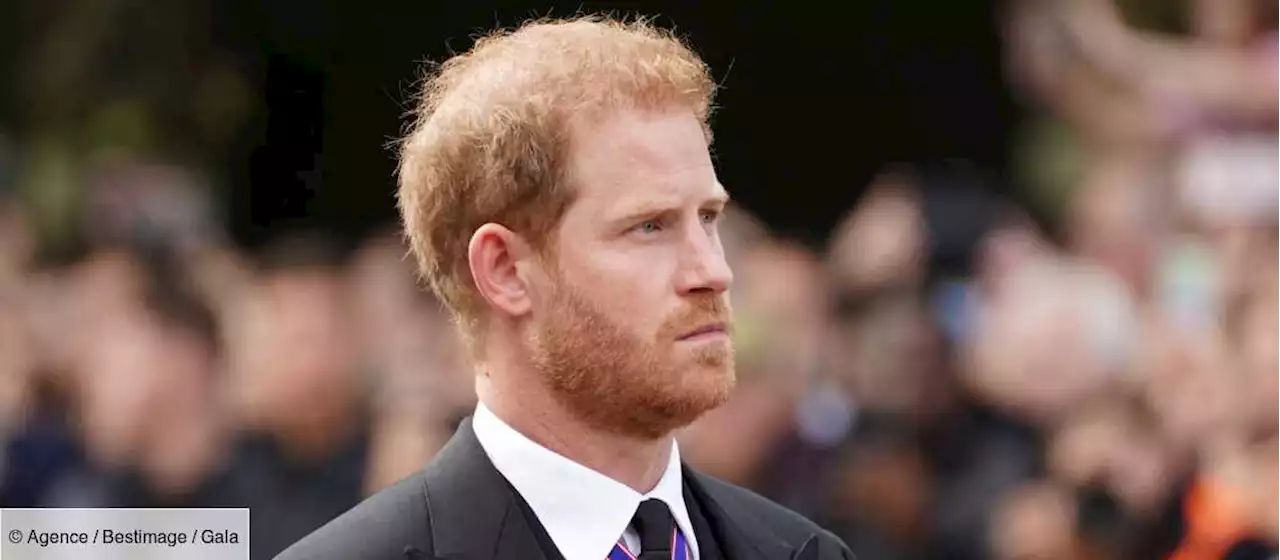 Mort d’Elizabeth II : le prince Harry retiendra-t-il ses coups contre la famille royale ? - Gala