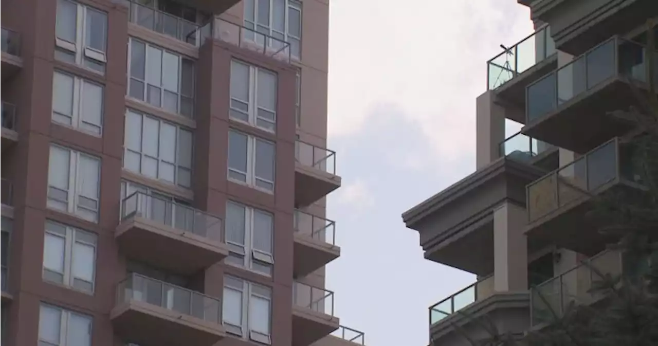 Apartment sales outpacing homes in Calgary: realtors - Calgary | Globalnews.ca