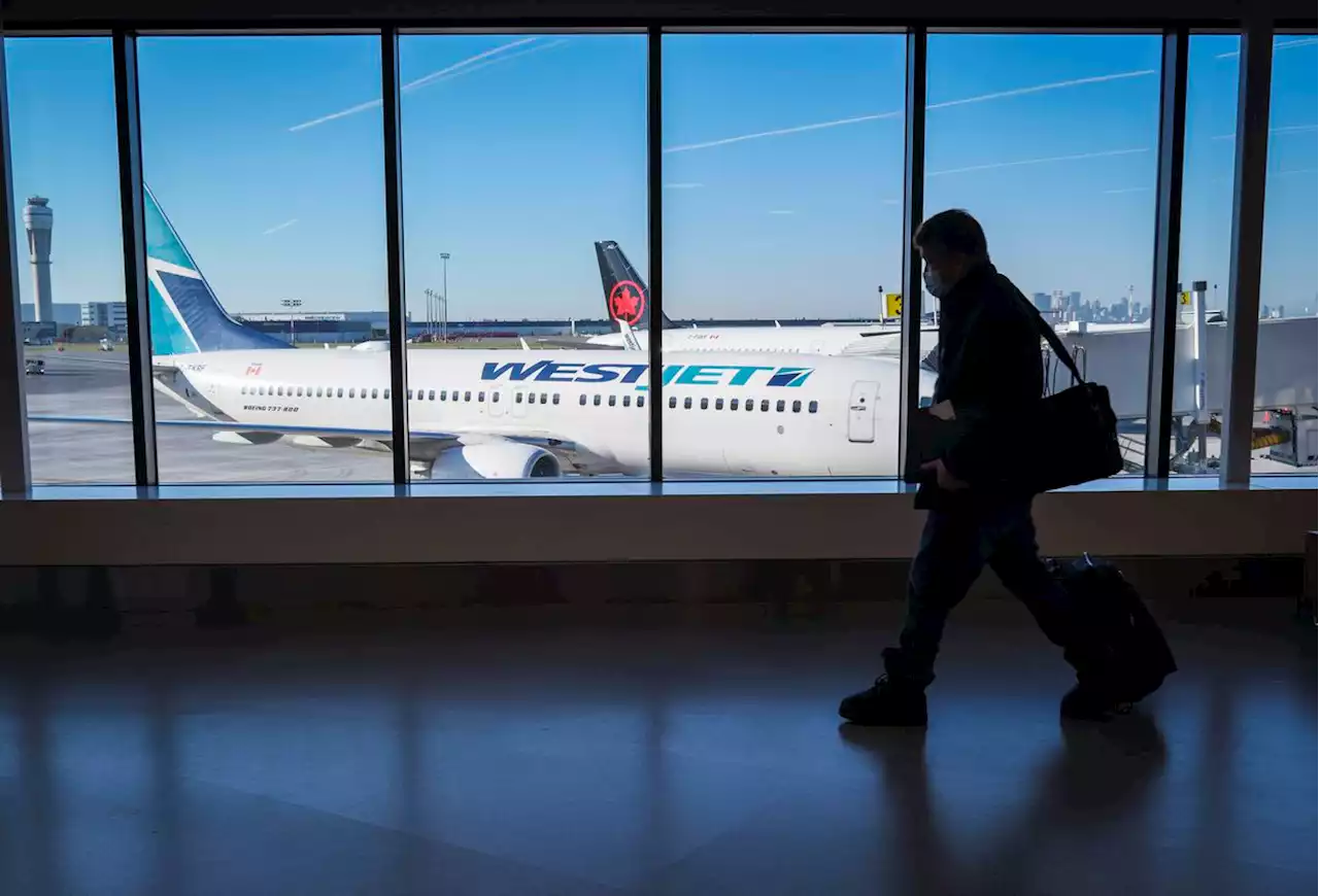 WestJet suspends number of routes out of Halifax this winter