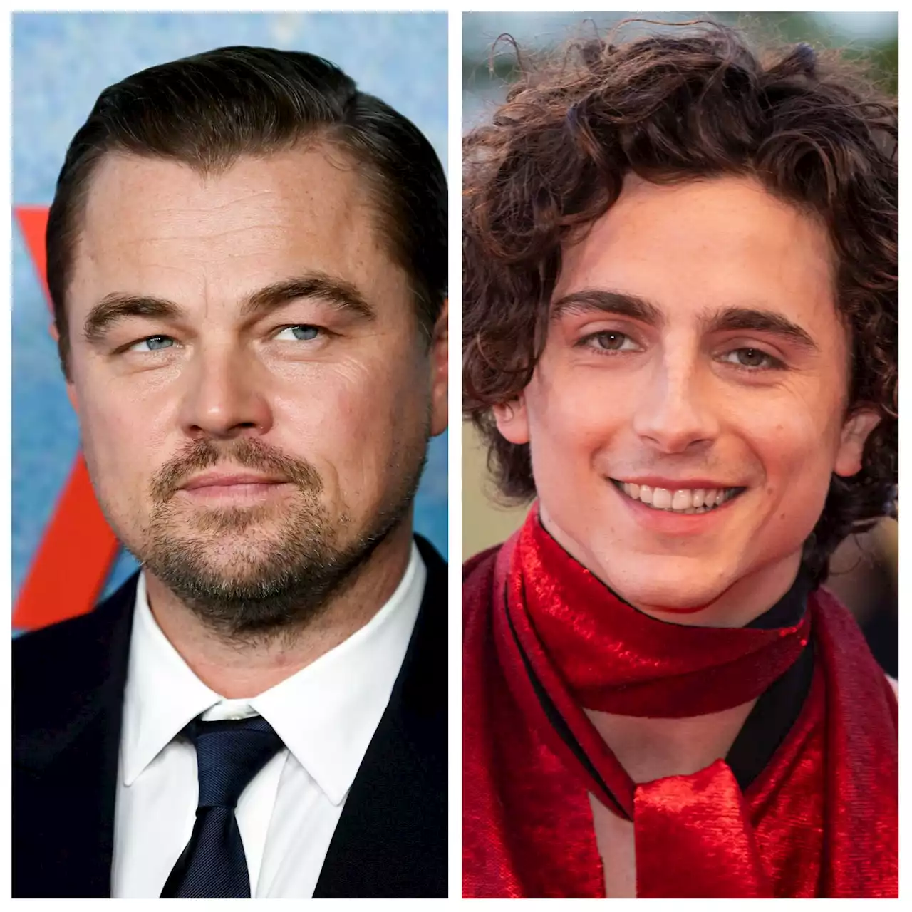 Timothée Chalamet Reveals The Career Advice He Got From Leonardo DiCaprio