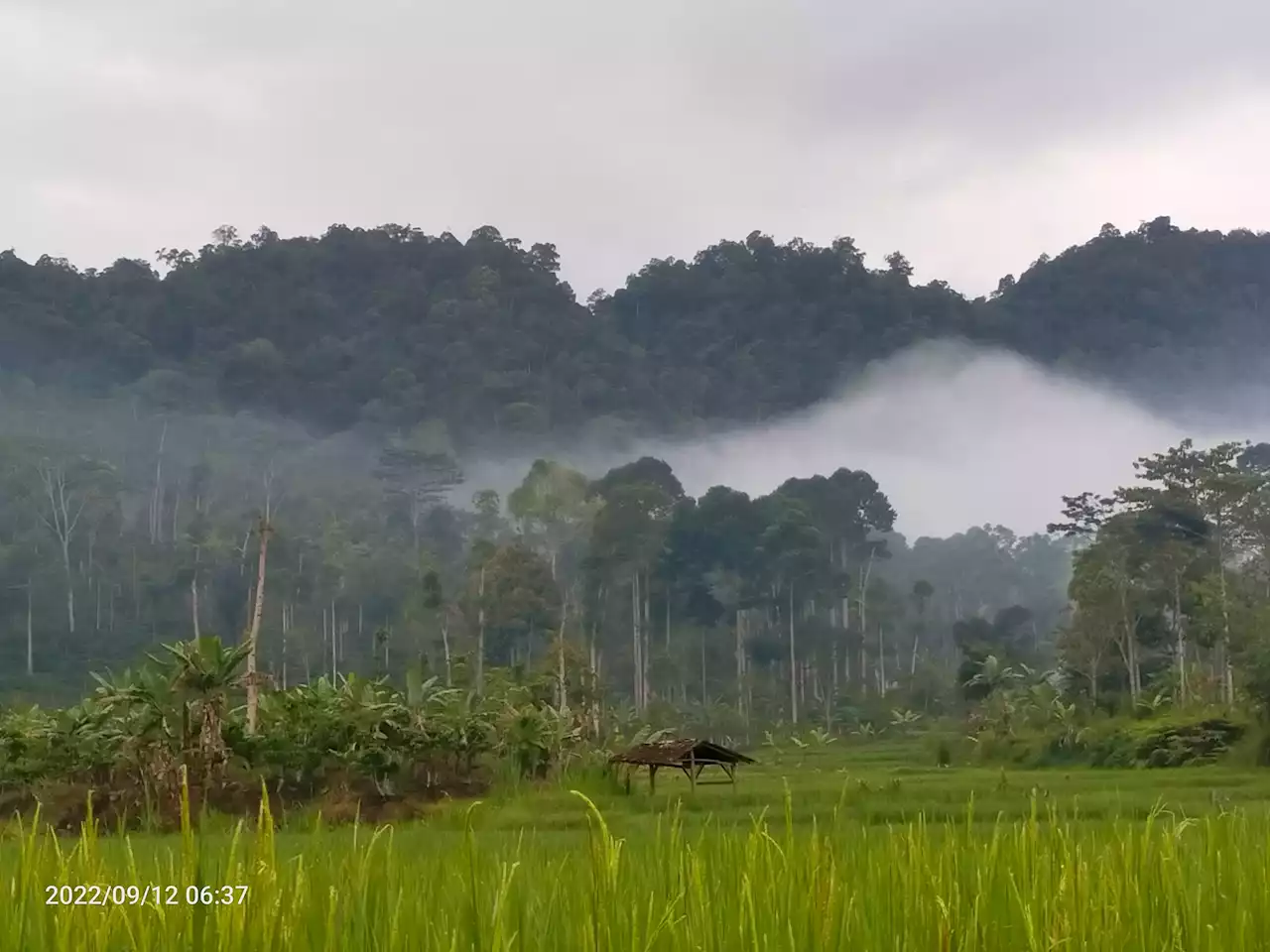 Prakiraan Cuaca Hari Ini di Lampung, BMKG Imbau Masyarakat Waspada