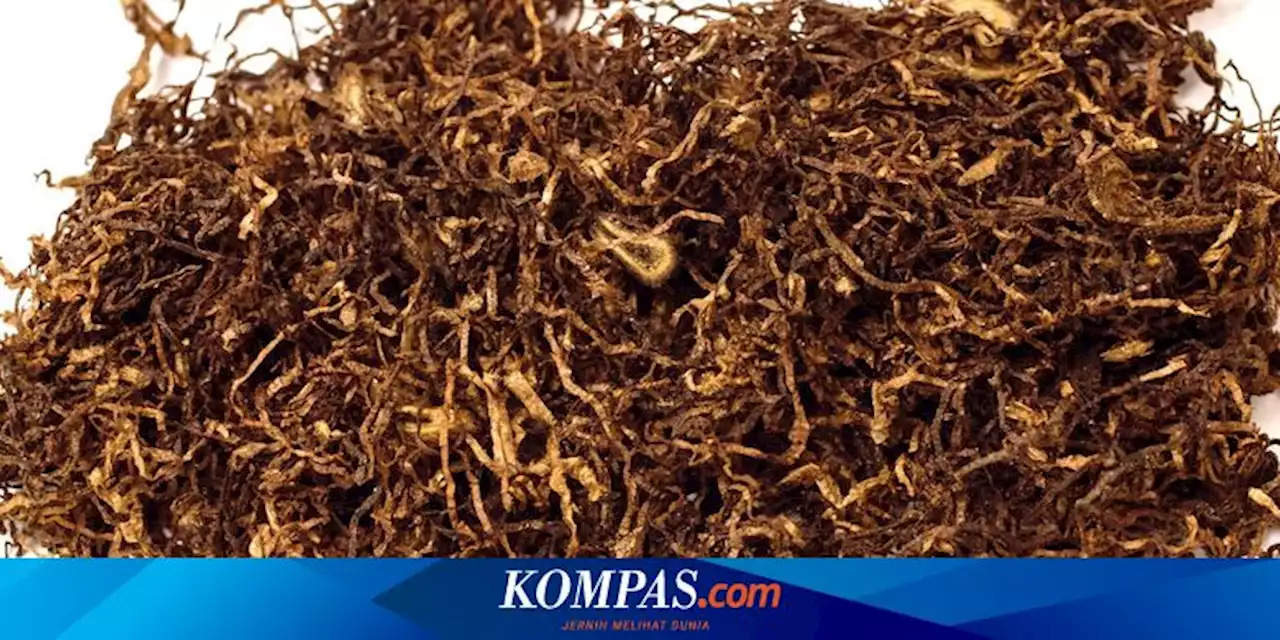 Faisal Basri: Penyederhanaan Struktur Tarif Cukai Rokok Bisa Tambah Kas Negara Rp 100 Triliun