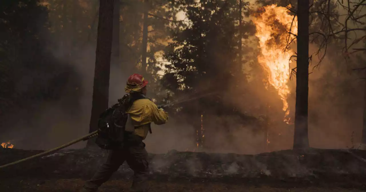 Mosquito Fire grows to largest in state; weekend storm could fuel fire despite the rain