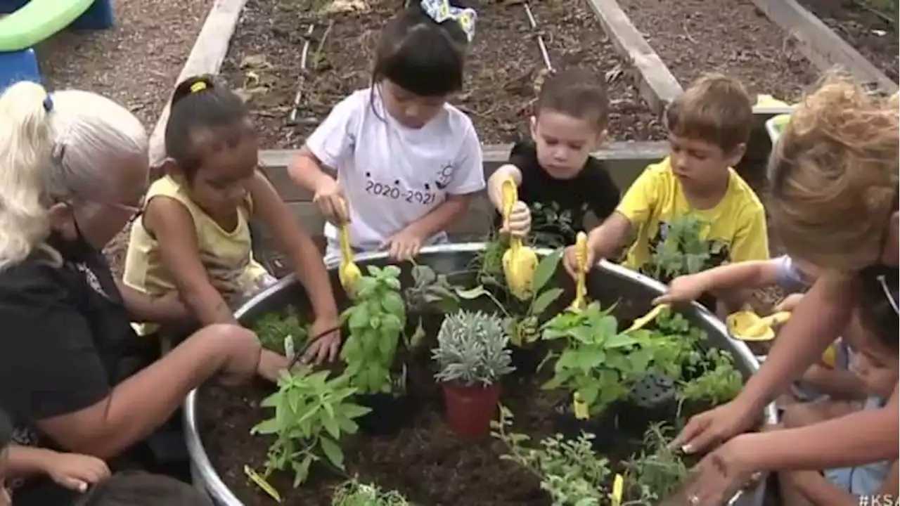 Area nonprofit works with schools to build gardens, teach kids about healthy eating