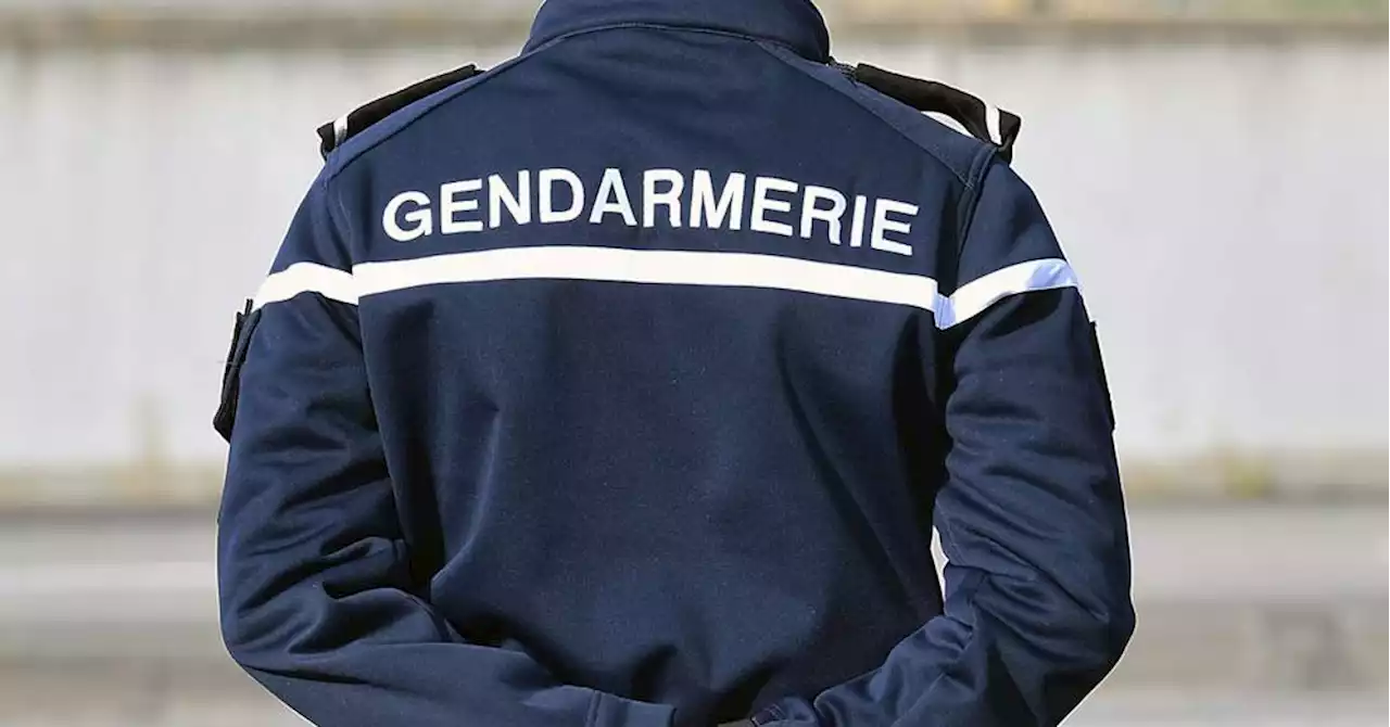 Fontvieille : ils fuient la gendarmerie et finissent dans le fossé