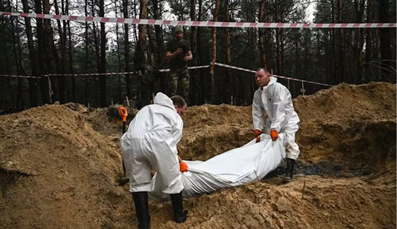 Près d'Izioum, les morts de la guerre enterrés dans une forêt