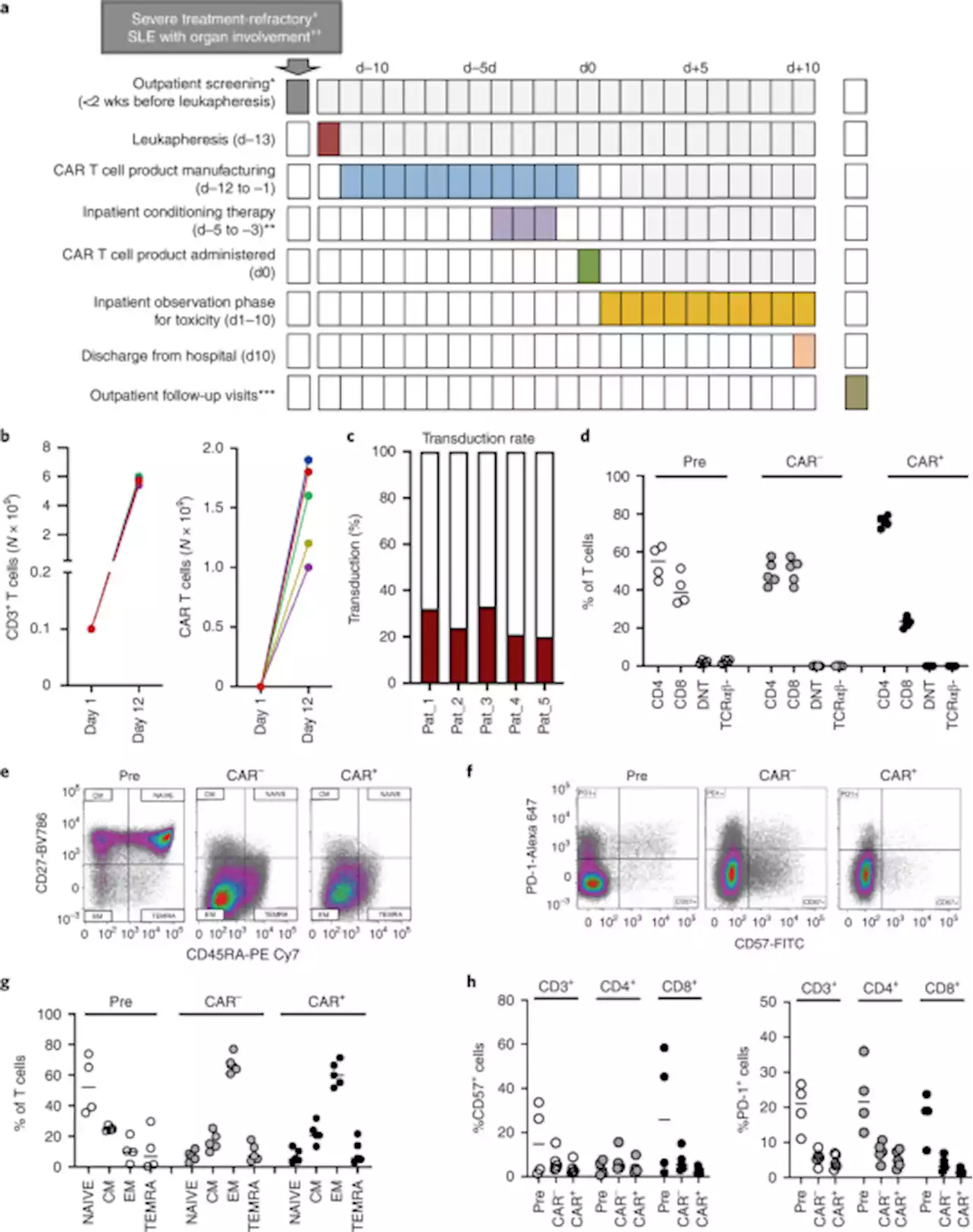 Anti-CD19 CAR T cell therapy for refractory systemic lupus erythematosus - Nature Medicine