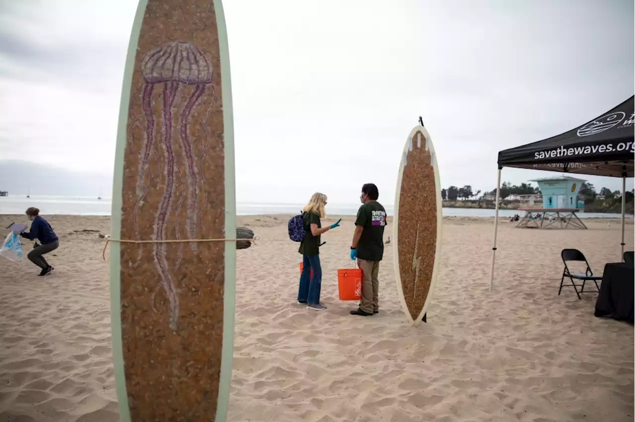 Tired of litter? Coastal Cleanup Day is this Saturday. How to sign up.