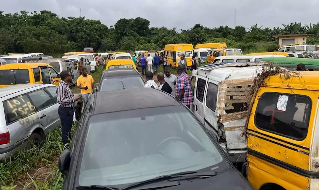 Relatives of one-way drivers' victims justify vehicle auctioning
