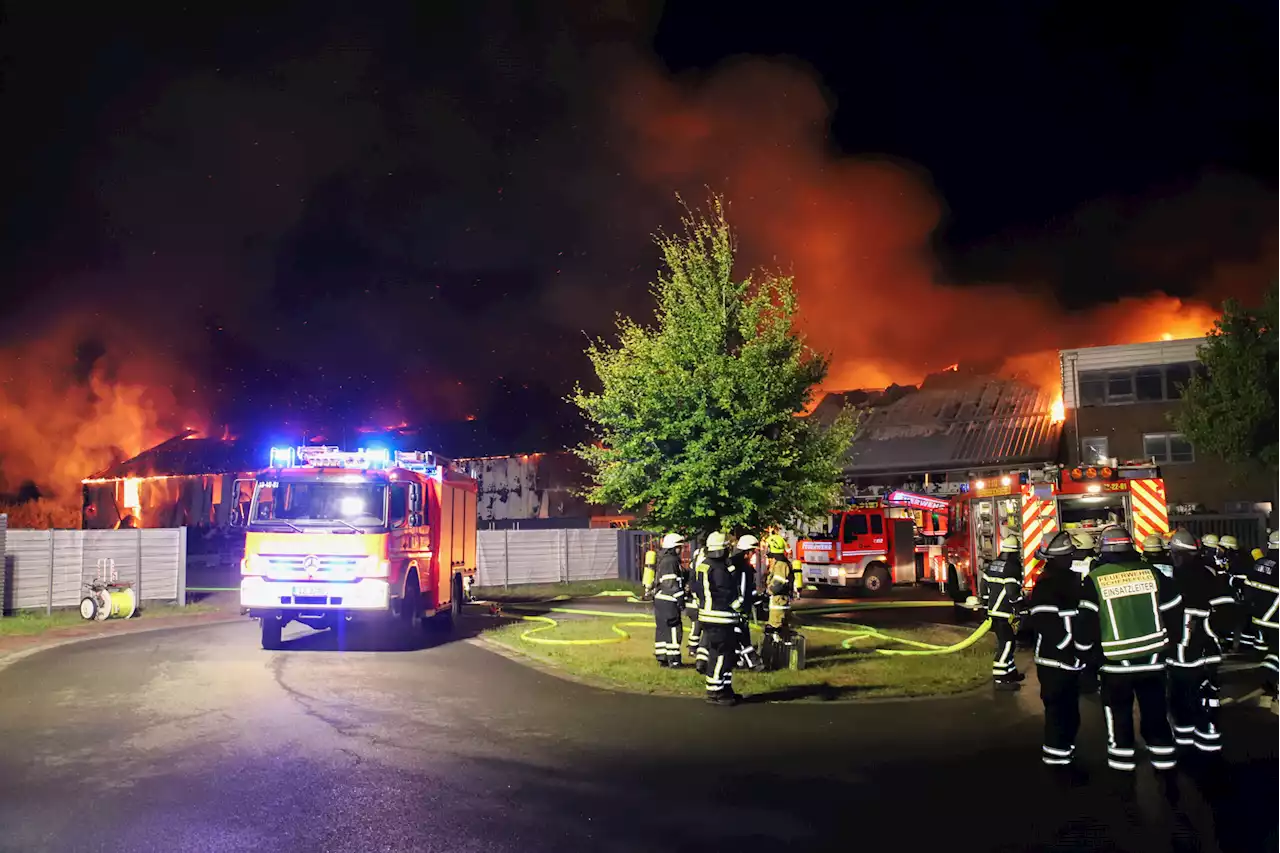 Großbrand bei Hamburg: Baumschule steht lichterloh in Flammen