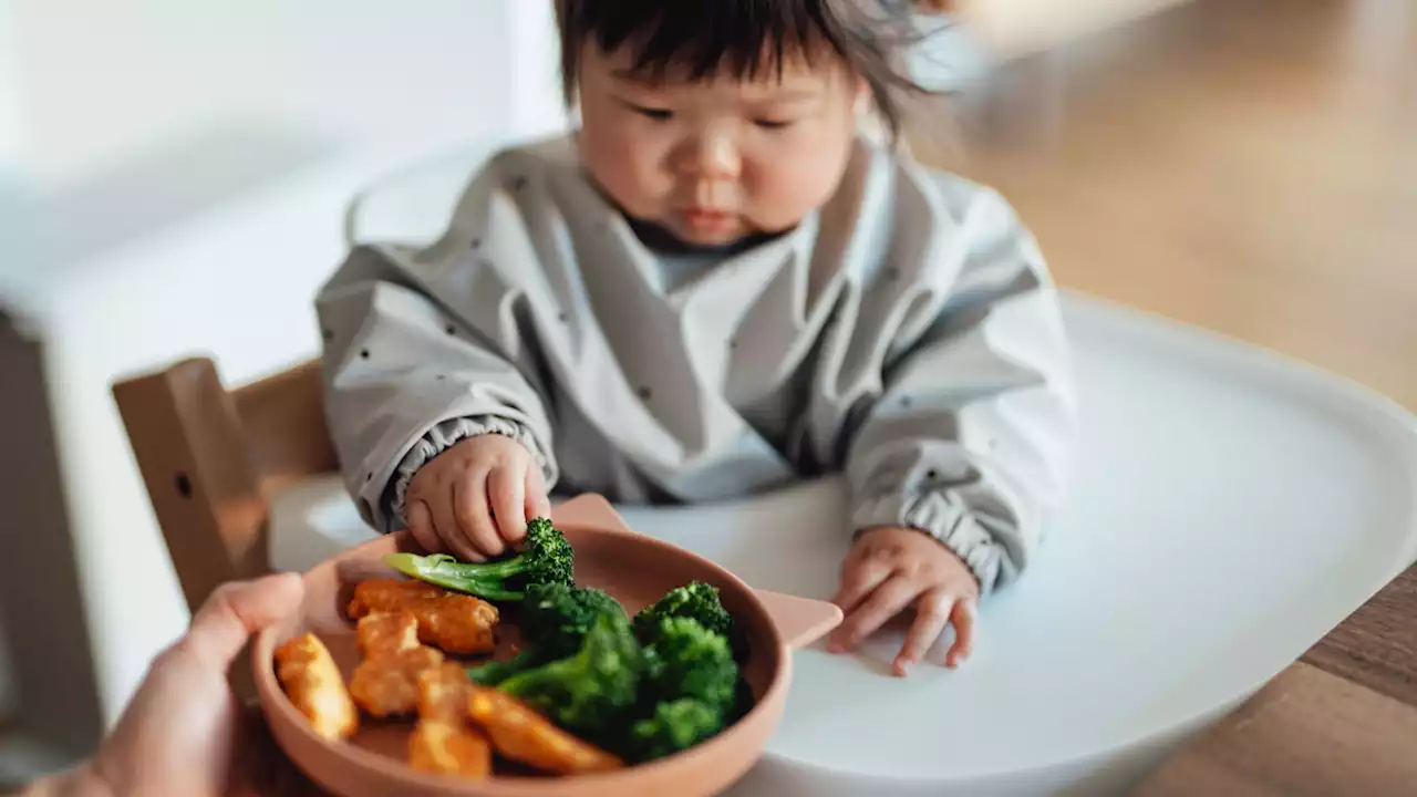 Baby weaning sets to make mealtimes fun and simple