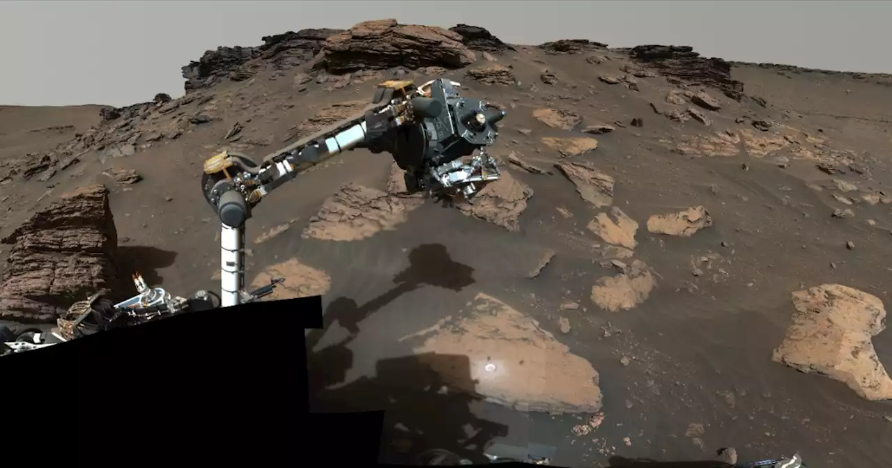 'Tantalizing' Mars rock samples collected by Perserverance rover