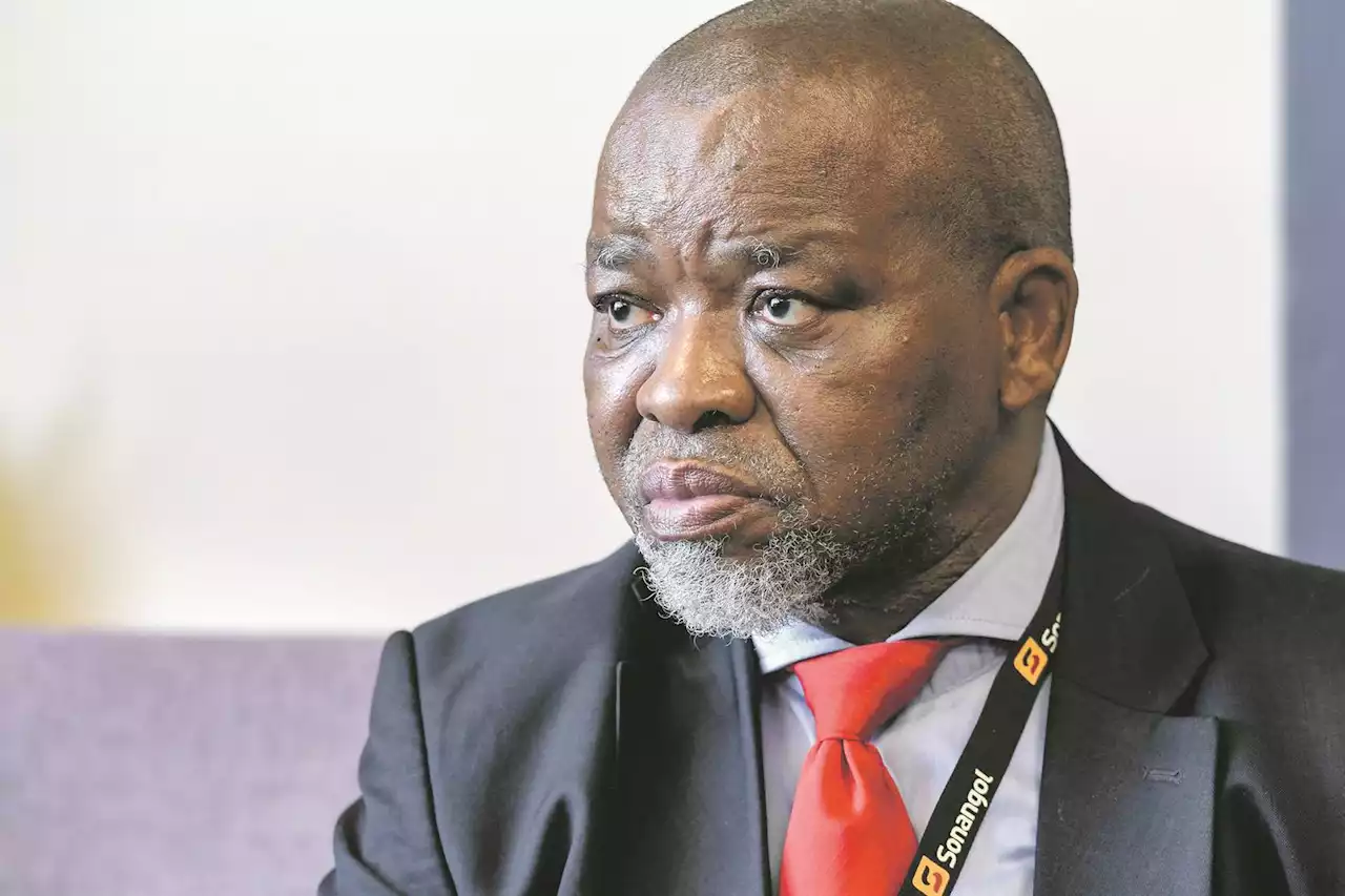 Cabinet hits back at Hersov's 'corrupt clowns' comment: Stop bullying us over airport stake | Fin24