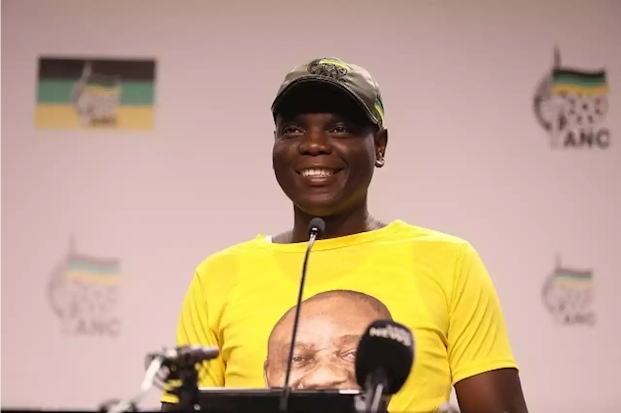 Lamola leads ANC youth rebellion as he eyes powerful deputy president post | News24