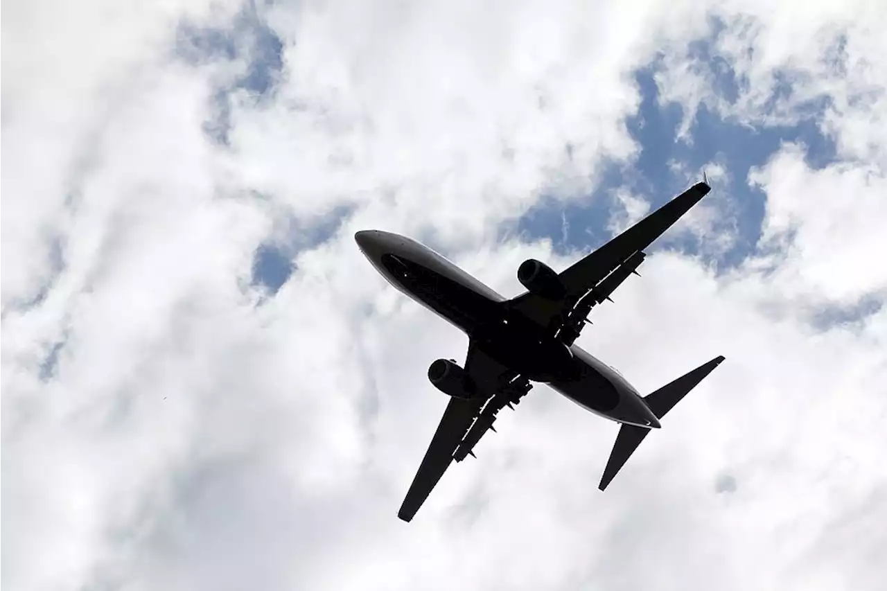 SA may lose 53% of graduates to emigration, survey shows | Fin24