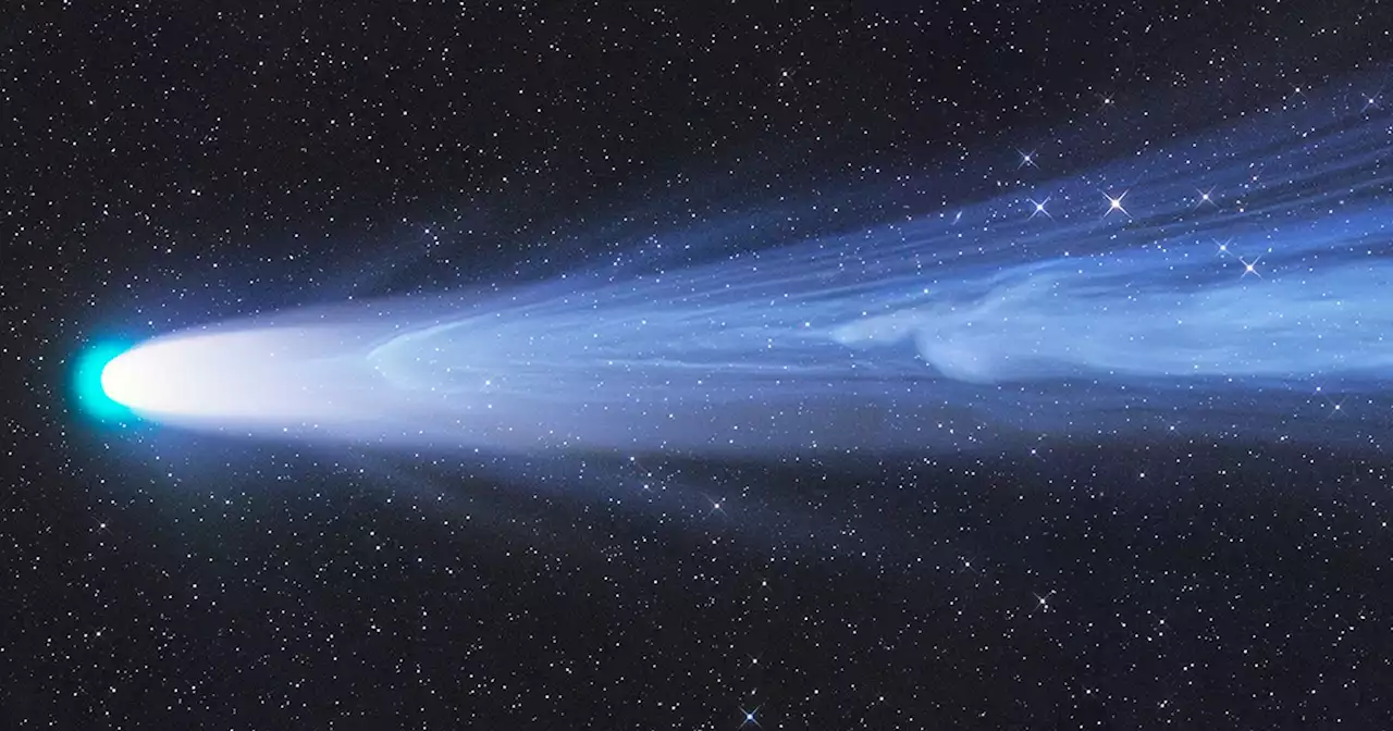 A Last Photo of Comet Leonard Wins Astronomy Photographer of the Year